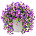 Künstliche Topfpflanze 48 cm aus Kunststoff Rosa Lila Grün mit Hängeblüten